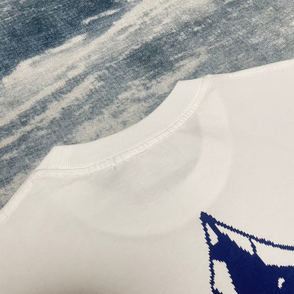 24ss ski crack print short sleeve T-shirt