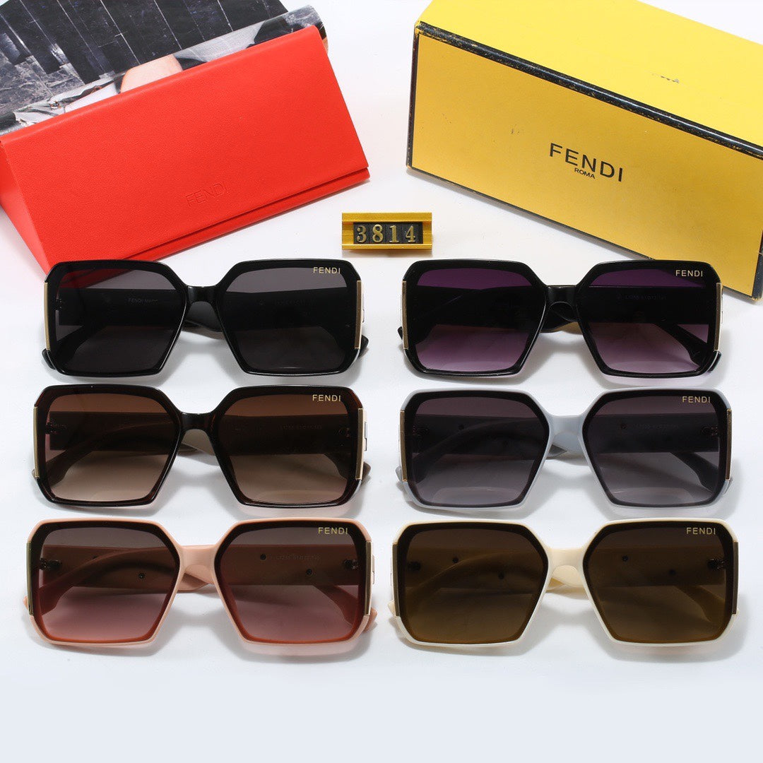 Large Frame Sunglasses